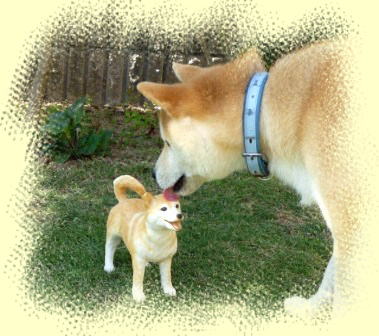 粘土作家Toshi（登志）の愛犬マルと粘土で作ったマルの置物